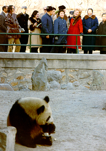 1972 年 2 月 22 日,尼克松总统夫人帕特·尼克松在北京动物园观看大熊猫展览