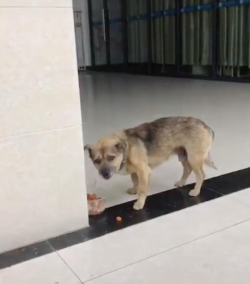 在医院里吃火腿肠的小宝 受访者供图