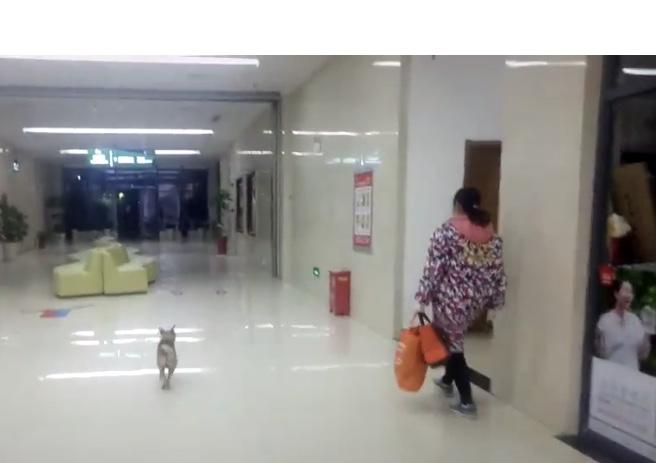 每天下午,小宝会送吴翠芬下班