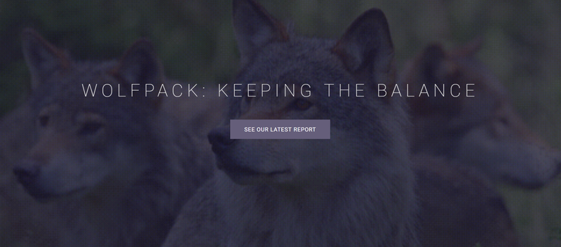 Wolfpack Research