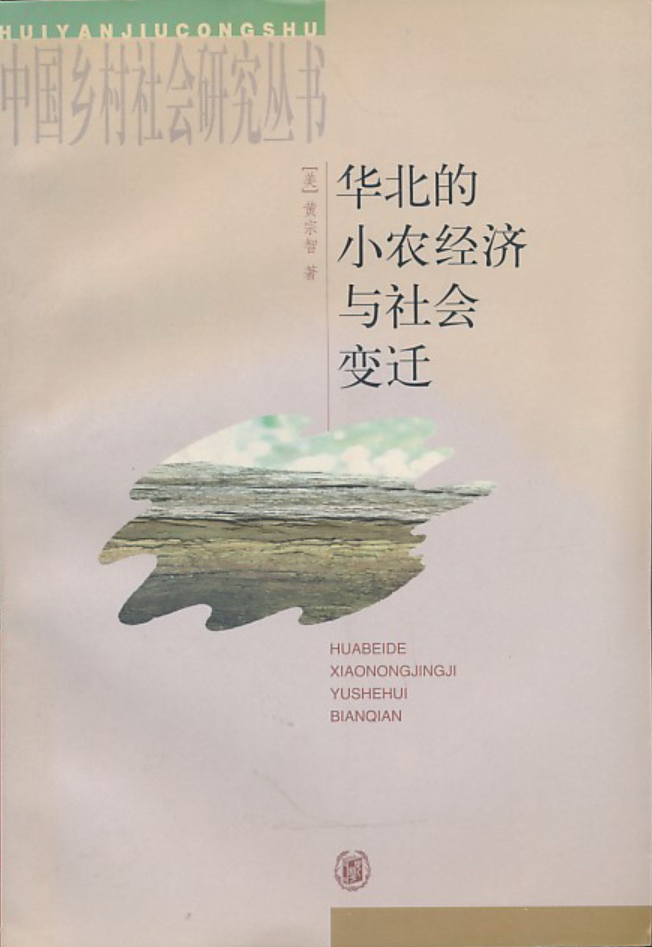 黄宗智在1985年由斯坦福大学出版社出版的The Peasant Economy and Social Change in North China中,提出“involution”的概念。后来,这本书的中文版由中华书局推出,书名为《华北的小农经济与社会变迁》,“involution”译成“内卷化”。