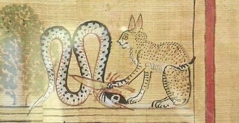 《猫的真实身份》视频截图,制作者搜集了各种历史上猫的诡异图像和网络上的奇怪行为拼接成伪纪录片。图片:VIMEO