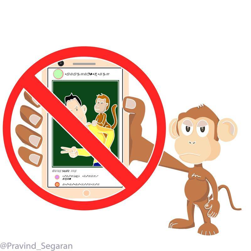 拍摄指南的配图。图片来源:Orangutan.com