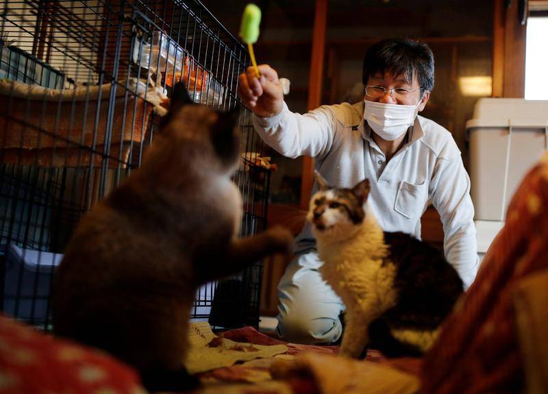 加藤在家中和猫玩耍 图片:路透社