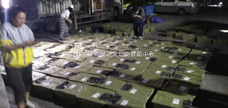 成都爱之家动物救助中心的救助现场(图源自其机构微博)