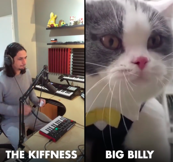 南非音乐鬼才Kiffness的猫咪神曲再次更新,没想到这次连词都给谱上了