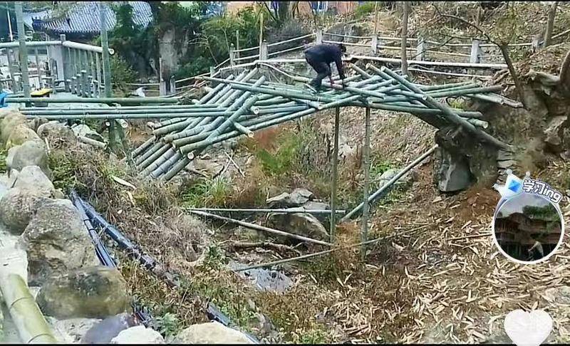 王家乐在用1000多根竹子建起了这座桥。