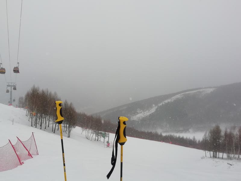 雪友失去的一季 和雪场失去的一年