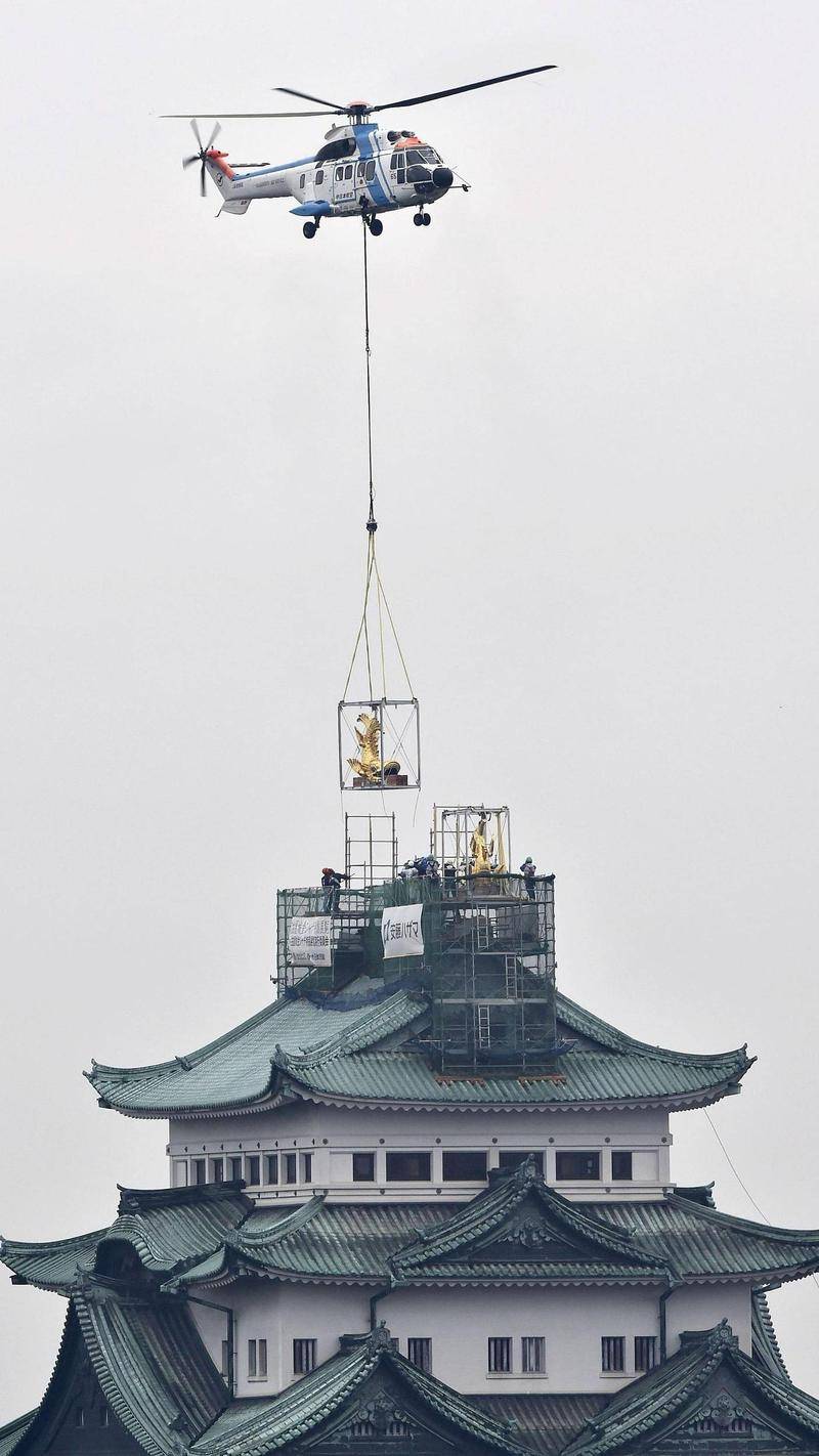 每日相册 献给警察暴行受害者的红玫瑰 在骚乱中潜入超市 捡漏 的孩子