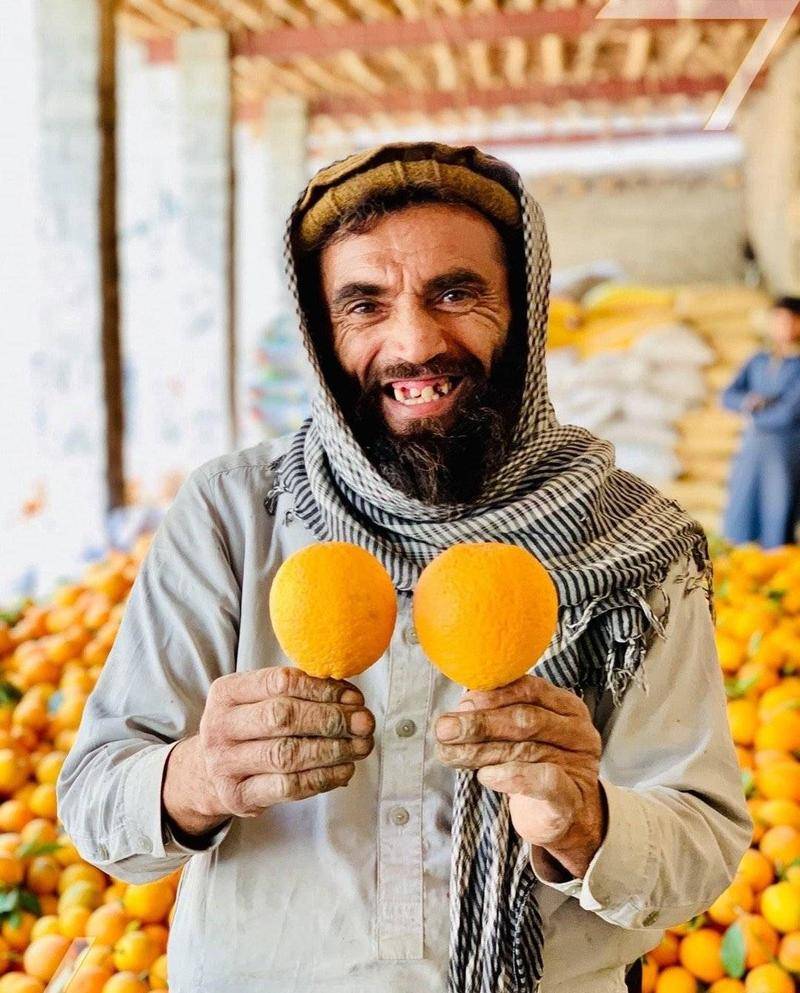 佳蓝老家的楠格哈尔省，生产新鲜多汁的橙子。